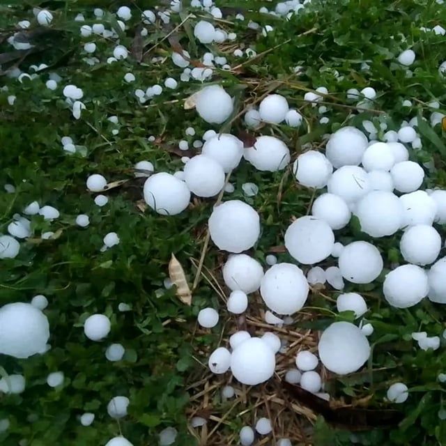 تساقط حبات برد "كبيرة" يُلحق ضررًا بمشهد الإيرانية (صور وفيديو)