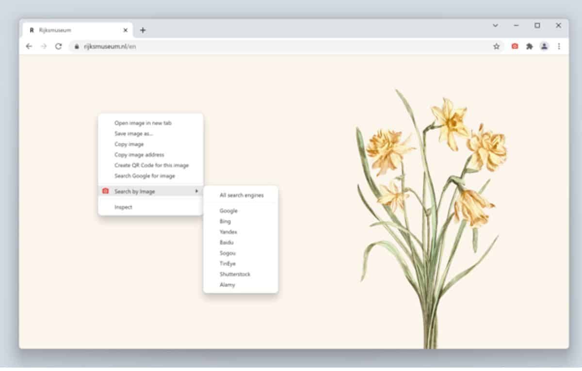 أبرز إضافات كروم لتعزيز تجربة البحث عبر الإنترنت - موقع الخليج الان