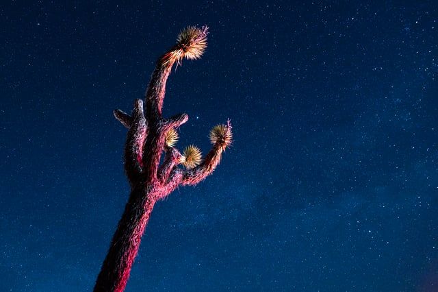 خطر يكمن وراء هذا الجمال.. الوجه الآخر للشفق القطبي المذهل