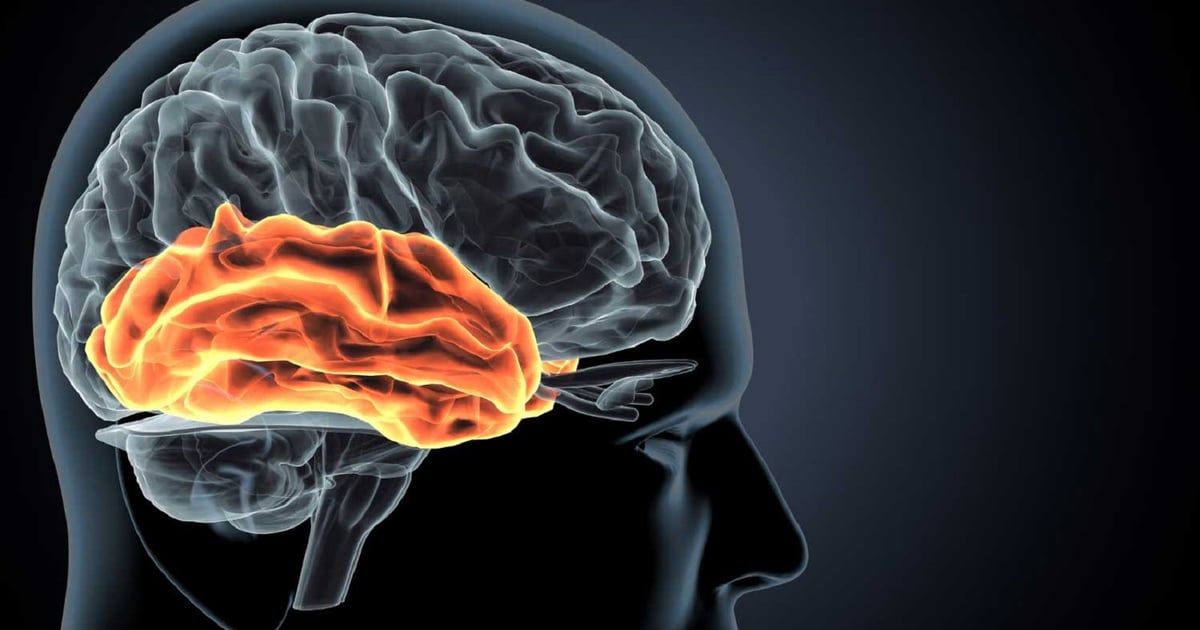 اختبار دم نوعي للكشف عن السكتة الدماغية