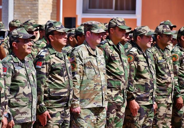 محللون لـ "الخليج الان": "الأسد الأفريقي" محطة هامة لتبادل الخبرات العسكرية