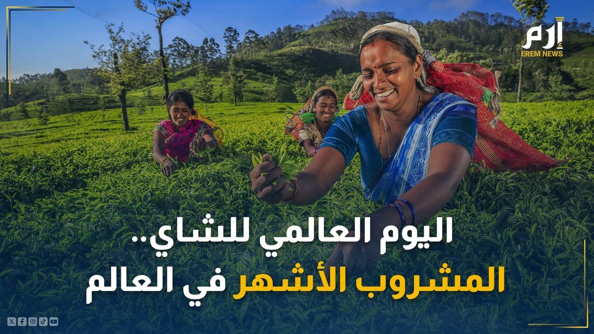 في يومه العالمي.. "الشاي" سلعة الرفاهية التي تحولت إلى مشروب شعبي حول العالم