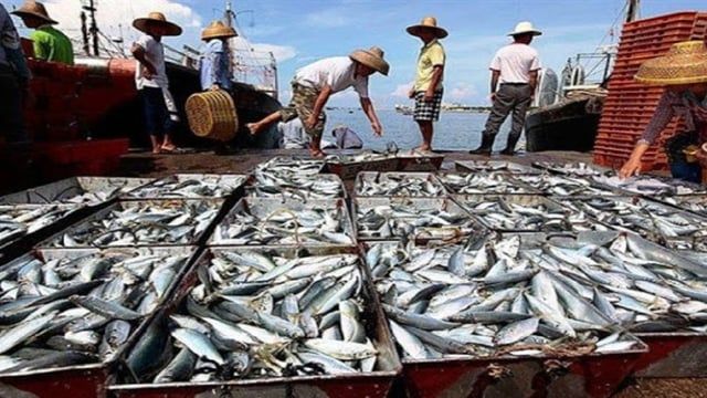 إيران تعتقل 20 صيادًا باكستانيًا بتهمة التهريب