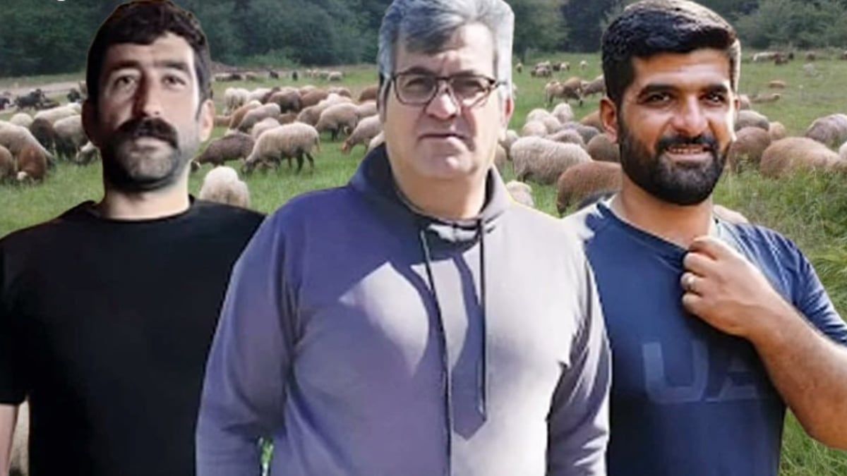 أمام أعين الشرطة.. مقتل 3 أشقاء شمالي إيران لهذا السبب