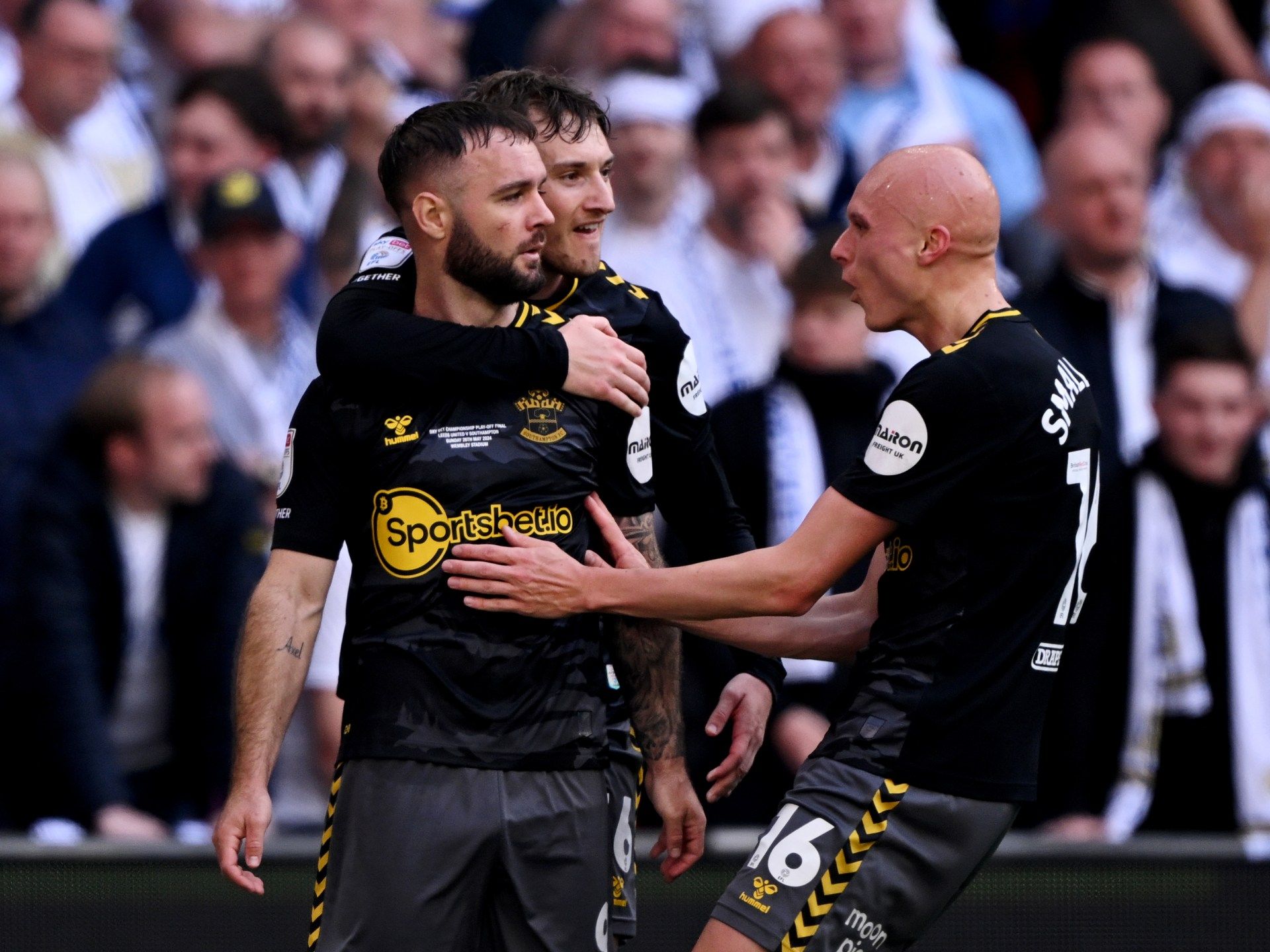 ساوثامبتون يعود للدوري الإنجليزي الممتاز بعد موسم بالدرجة الثانية - موقع الخليج الان