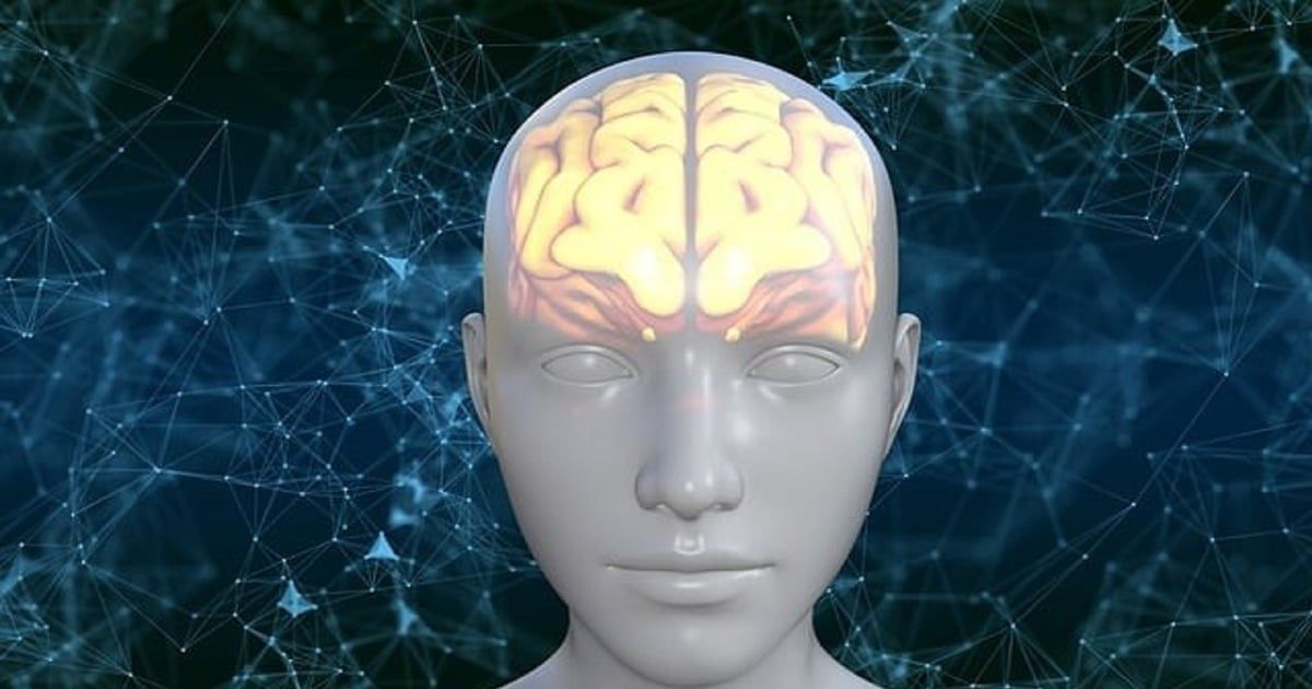 تفوق المتوقع.. دراسة تكشف سعة تخزين الدماغ البشري