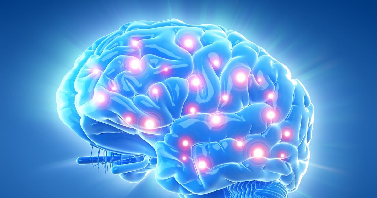 دراسة تحل لغز طريقة الدماغ في تنظيم جهاز المناعة