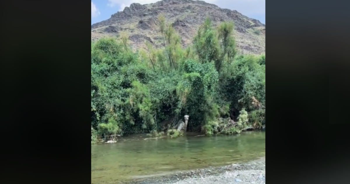 رحالة سعودي شهير تقوده الصدفة لمهمة إنقاذ ناجحة (فيديو)