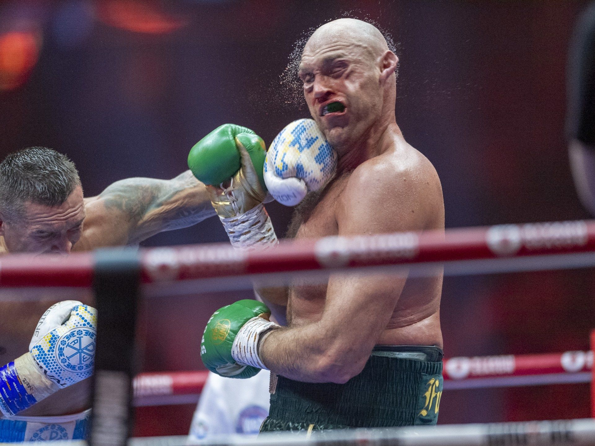 الملاكم أوسيك يواجه فيوري مجددا في السعودية - موقع الخليج الان