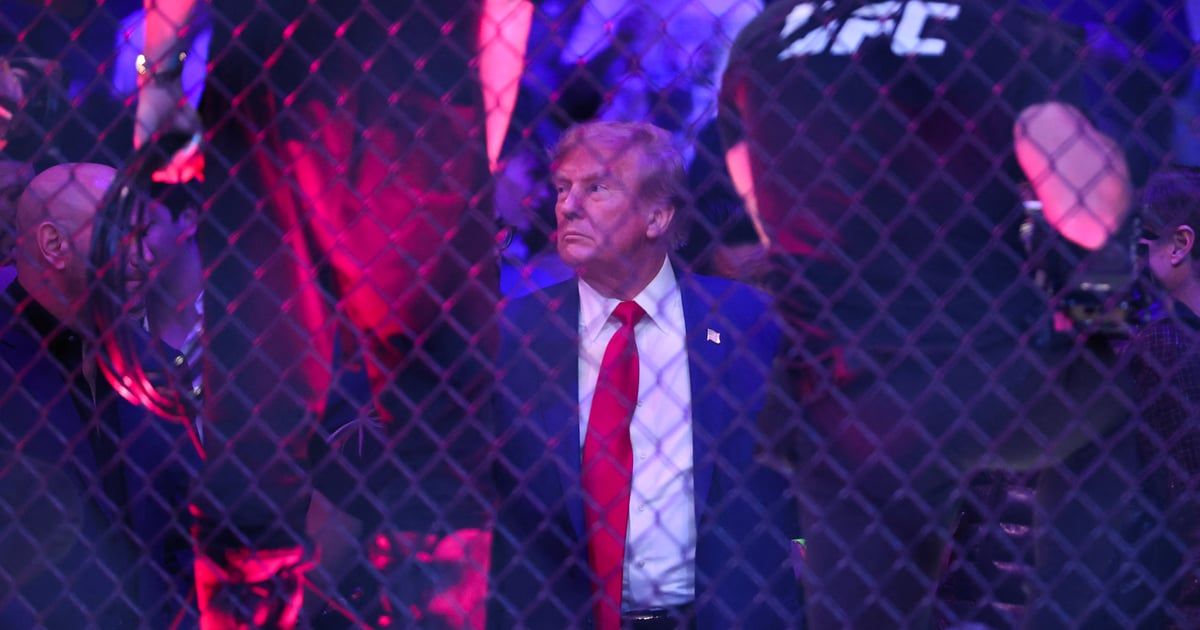 ترامب يتجه إلى حلبة "الفنون القتالية" في أول ظهور بعد إدانته