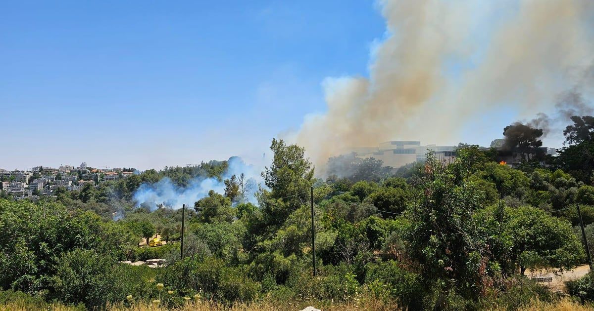 إخلاء "متحف إسرائيل" بعد نشوب حريق بجواره (فيديو)