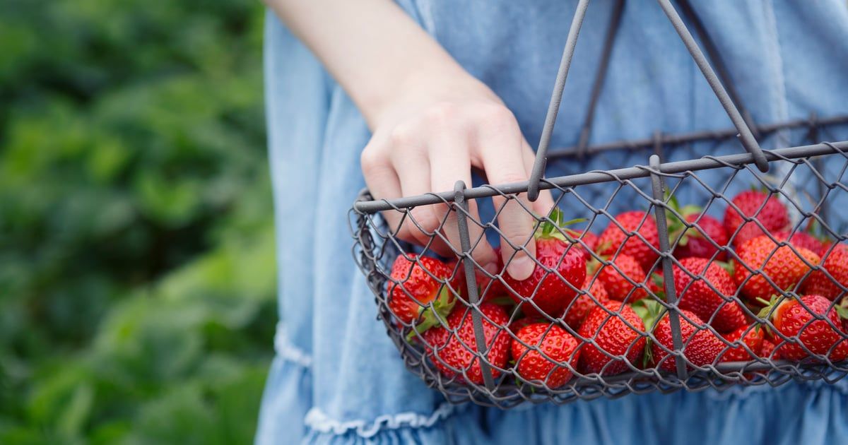 5 أنواع فواكه تخلص جسمك من السموم في الصيف