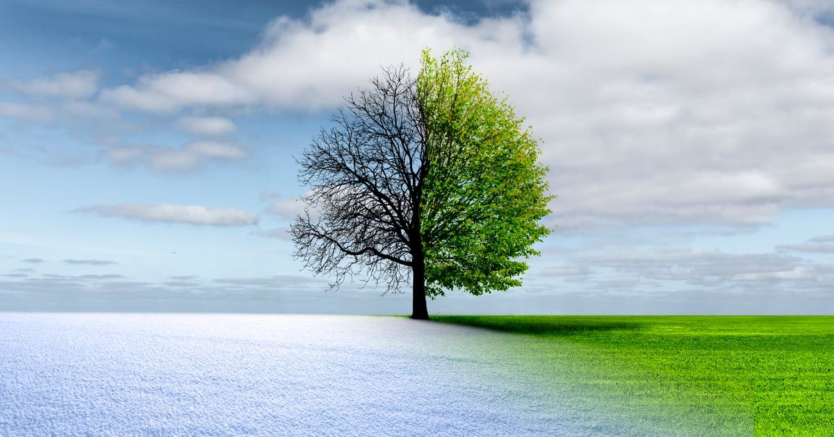 الأوزون التروبوسفيري أحد عوامل الوفاة المبكرة لمرضى القلب والرئتين