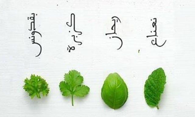 البقدونس فوائده السحرية والفرق بين البقدونس والكزبرة