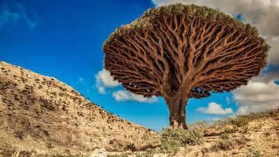 الأرخبيل من الأماكن الأكثر غرابة على وجه الأرض.. لن تتوقع ما يحدث فيها