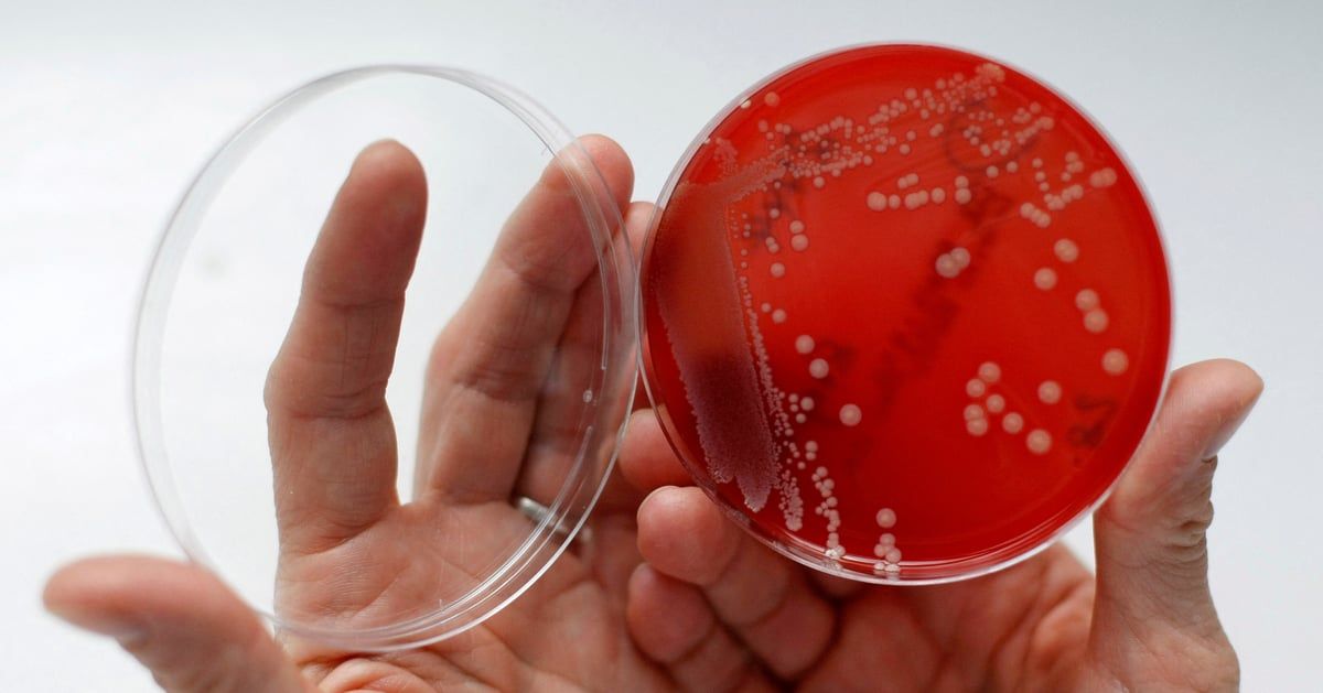 مضاد حيوي شائع يقلل وفيات "متلازمة الإيماء"