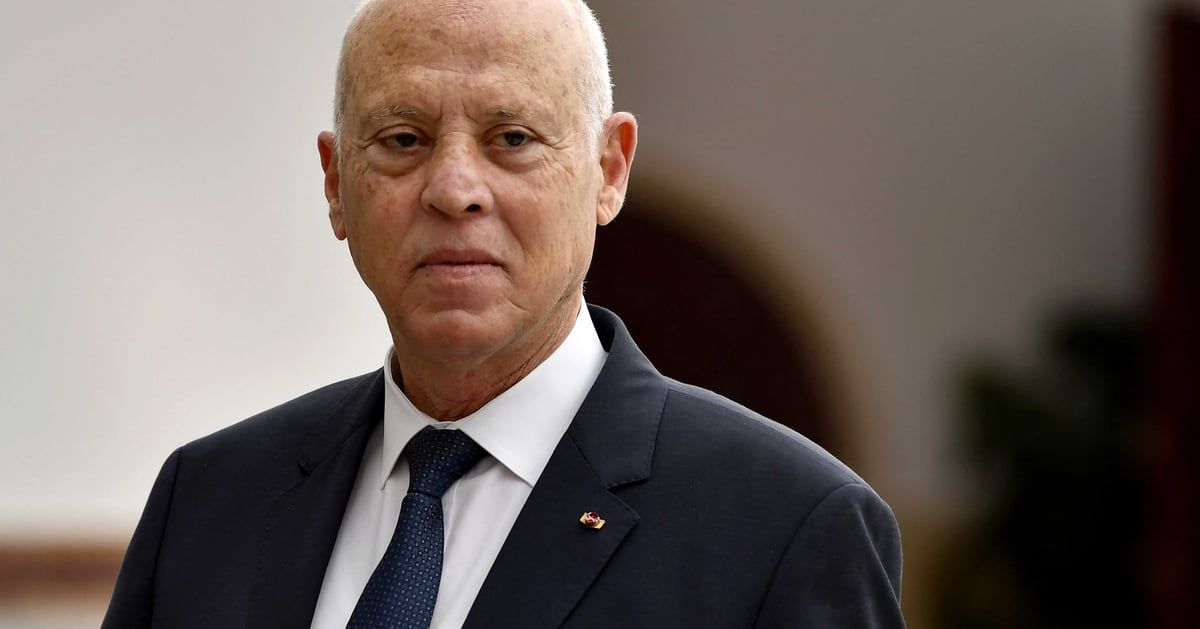 يحدد شرط الجنسية لخوض انتخابات الرئاسة.. لماذا يتمسك سعيد بـ "الفصل 89"؟