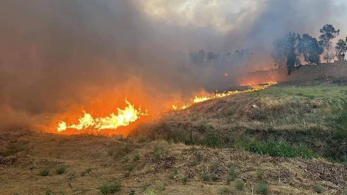 حريق كبير داخل جامعة الموصل العراقية (صور وفيديو)