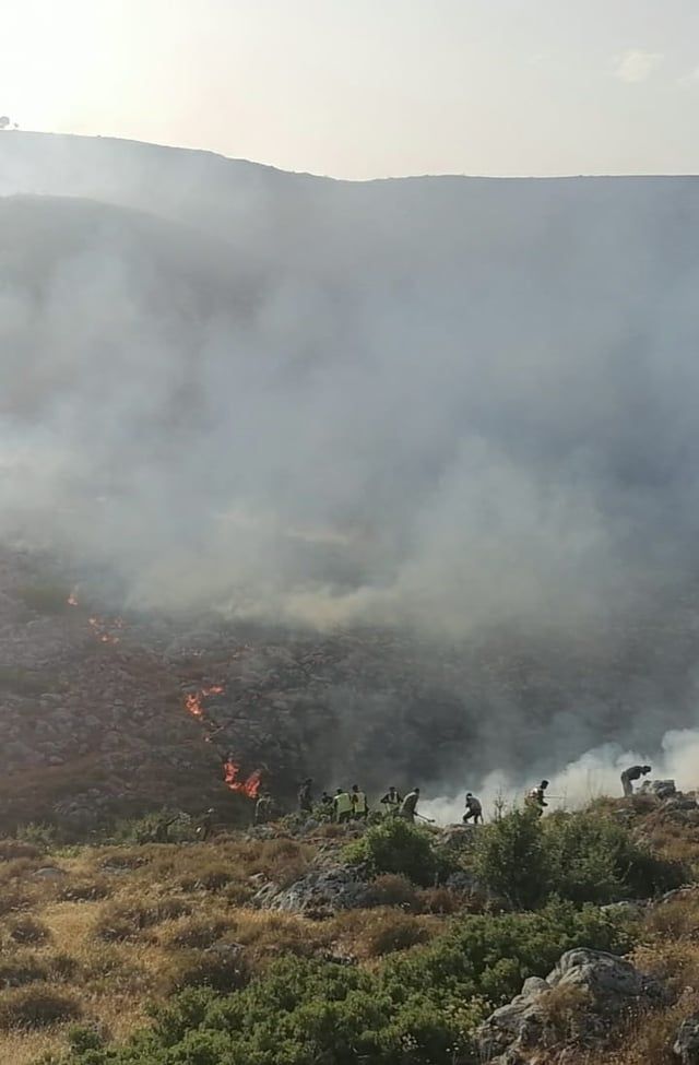 سوريا.. سباق مع الزمن لإطفاء حرائق أشعلها مُبكرًا ارتفاع الحرارة (صور)