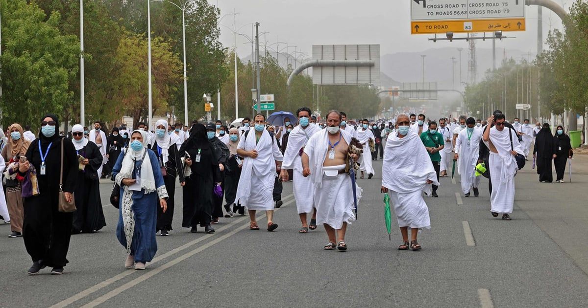 بالزغاريد.. حاجات مصريات يعبرن عن فرحتهن بالوصول إلى عرفات (فيديو)