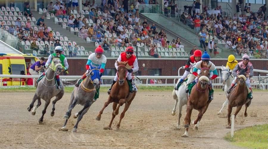 كأس الوثبة للخيول العربية.. تتويج الفائزين في 3 سباقات ببريطانيا وبولندا وإيطاليا