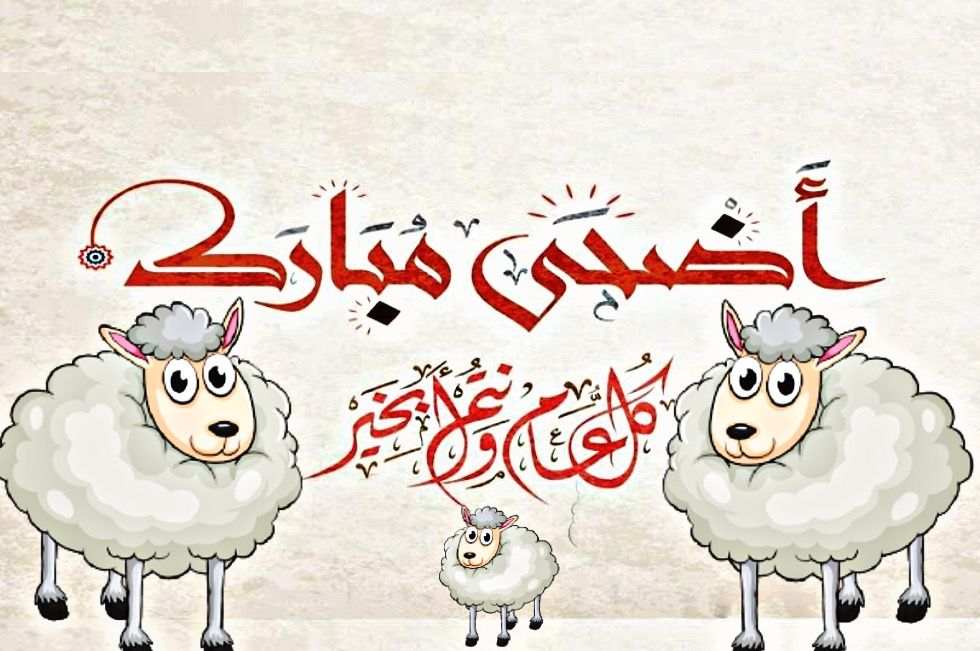 Happy Eid رسائل تهنئة عيد الأضحى إسلامية 1445 أجمل عبارات التهاني بالعيد 2024