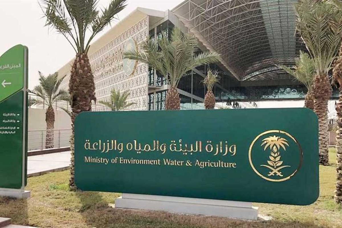 تحذير شديد اللهجة من بيطري من الذبح العشوائي.. مخاطر صحية وبيئية تهدد الكل!! - موقع الخليج الان