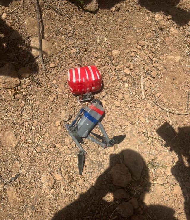 الجيش الأردني يُسقط مسيَّرة قادمة من سوريا (صور)