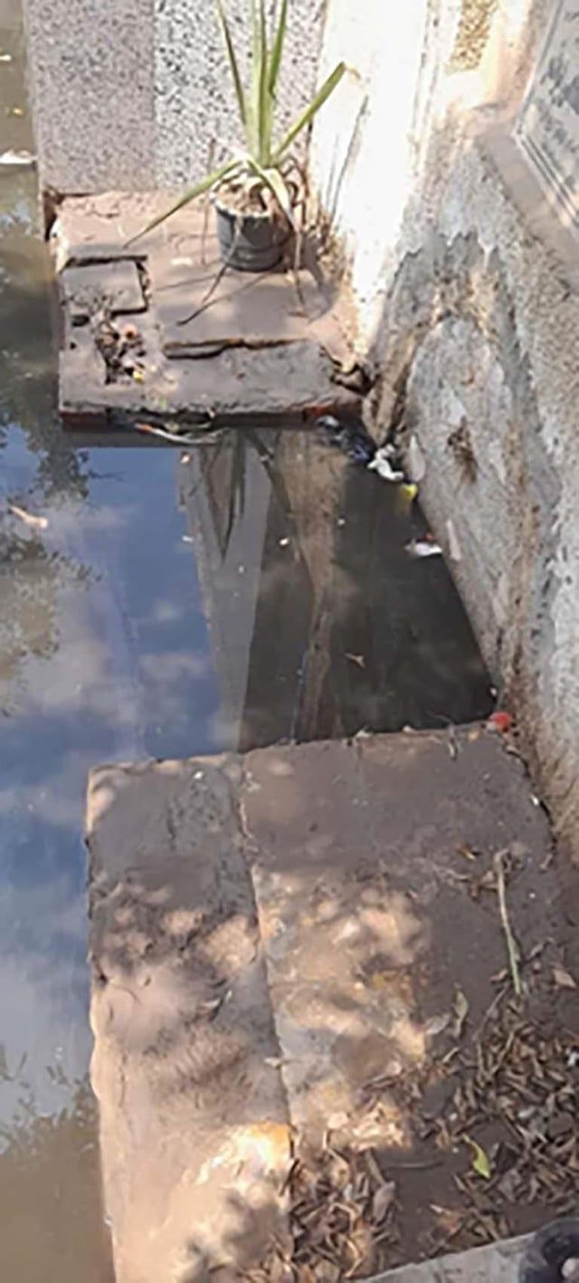 مصر.. تحركات عاجلة لإنقاذ ضريح الشيخ الشعراوي( صور)