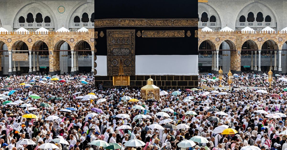 جهود مصرية للبحث عن حجاج مفقودين في المستشفيات السعودية