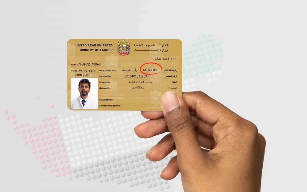 برابط مباشر.. خطوات الاستعلام عن رقم بطاقة العمل في الإمارات - موقع الخليج الان