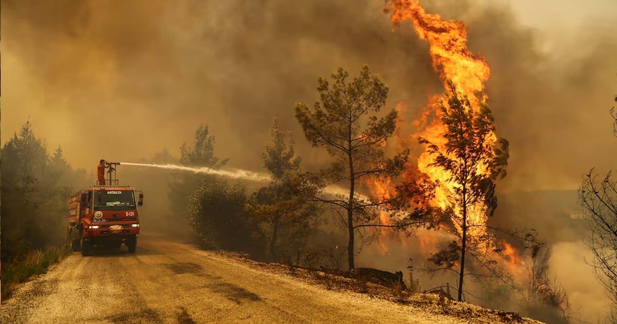 12 قتيلاً إثر حريق غابات ضخم في جنوب شرق تركيا‎