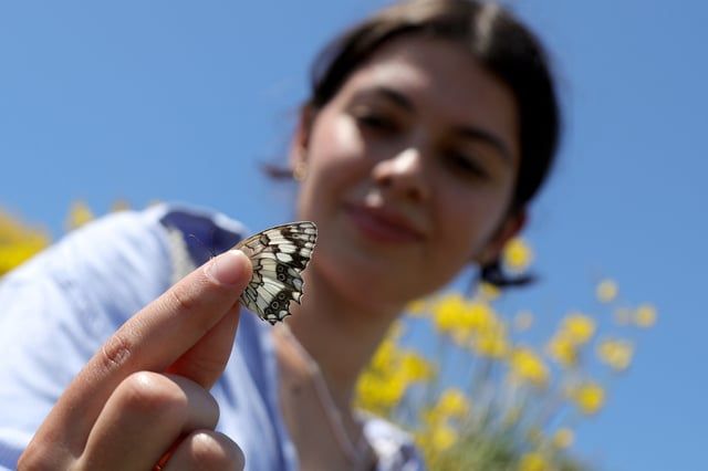 حقيقة صادمة.. الشاهد على صحة كوكب الأرض في خطر (صور)