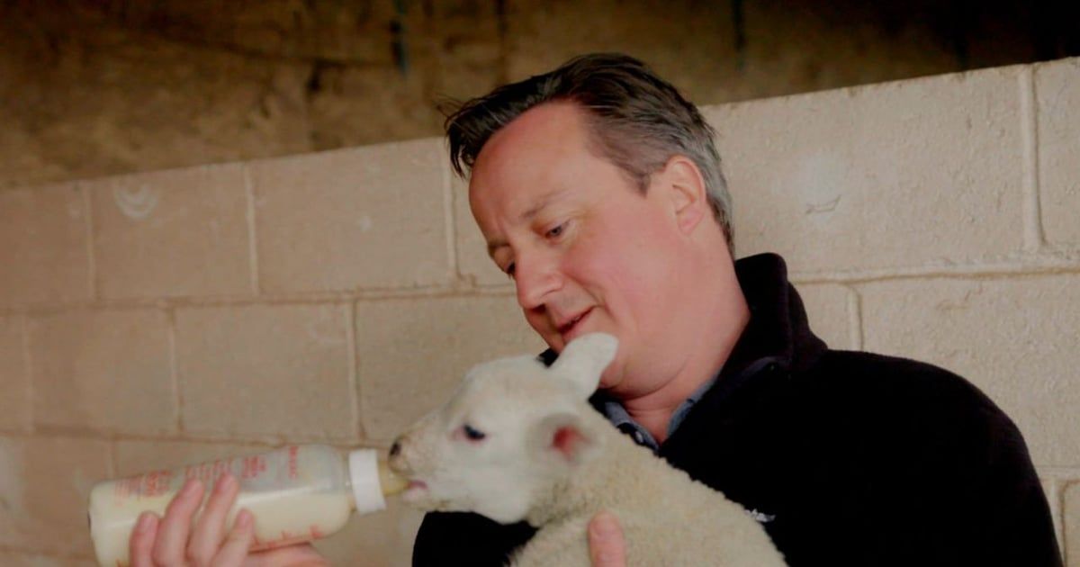 من "عجل تاتشر" إلى "كلاب كاميرون".. أرشيف انتخابي "غريب" في بريطانيا