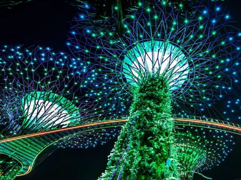 وندر جاردن | كيف أحجز تذاكر وندر جاردن الرياض - موقع الخليج الان