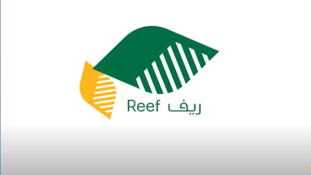 شروط الحصول على دعم ريف والأوراق المطلوبة للتقديم - موقع الخليج الان