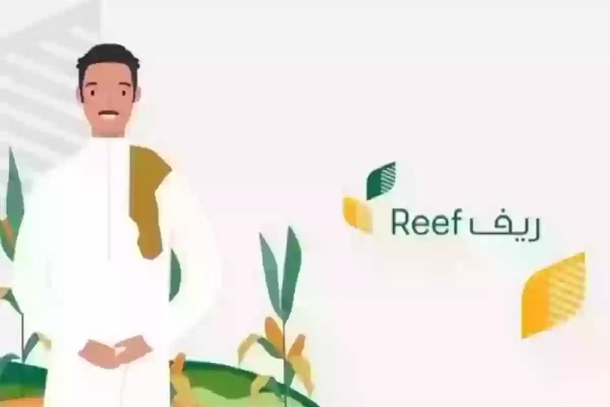 تعرف عليها الآن | ما شروط الدعم الريفي.. من هم المستفيدين من البرنامج؟ - موقع الخليج الان