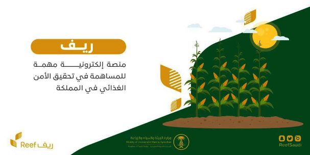 شروط الحصول على دعم ريف والأوراق المطلوبة للتقديم - موقع الخليج الان