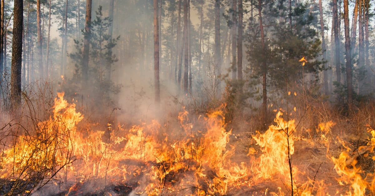 العالم "غير جاهز" لمواجهة الحرائق