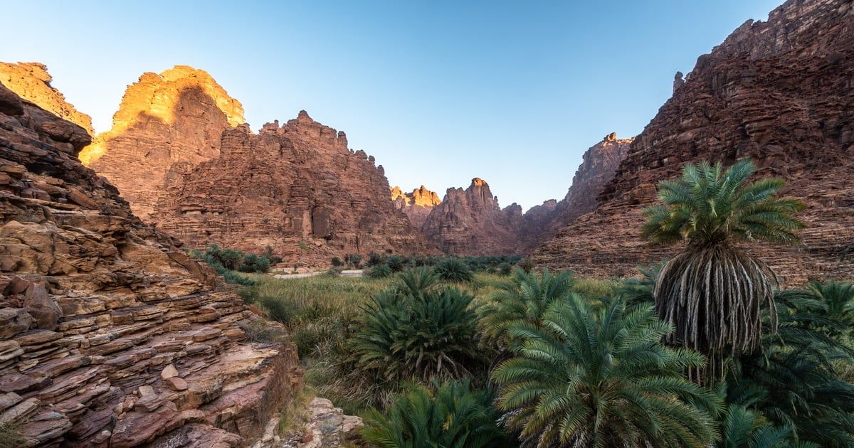 السعودية.. اكتشاف نقش أثري فريد يرتبط بلغة قوم ثمود (صور)