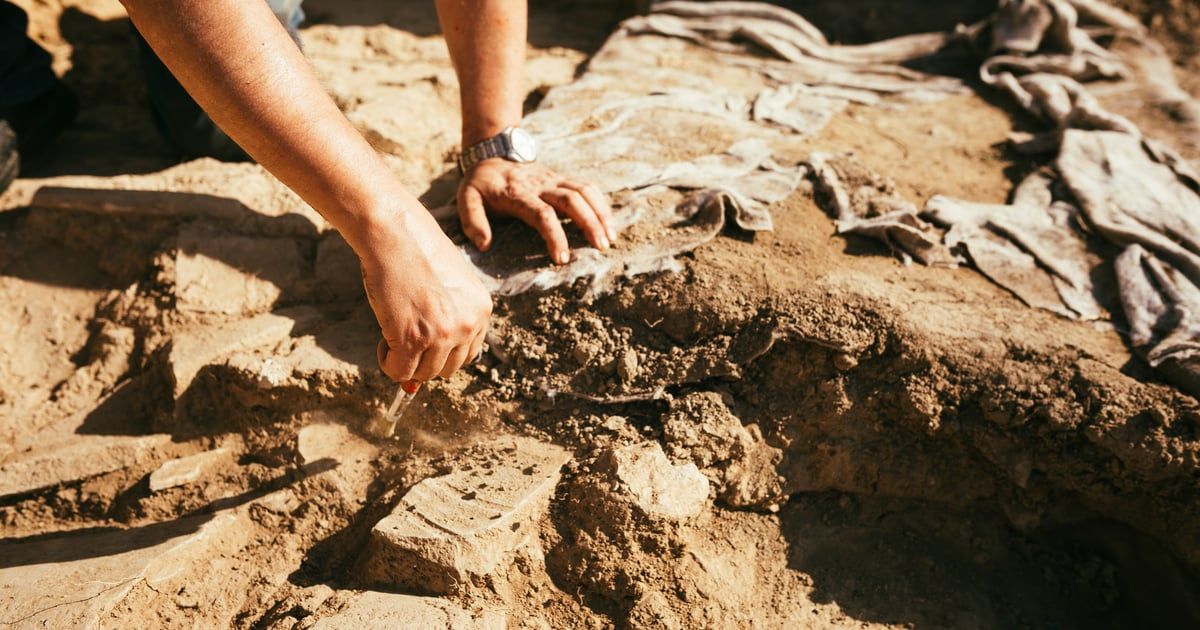 عمرها 700 ألف عام.. اكتشاف حفريات في جزر الكناري