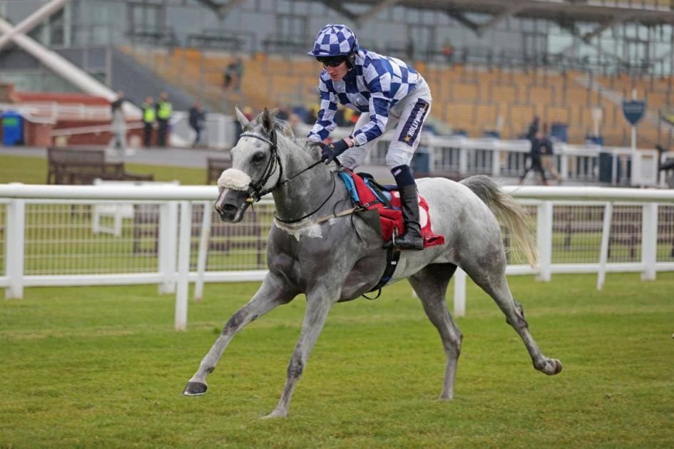 كأس الشيخة فاطمة بنت مبارك في ضيافة «رويال ويندسور»