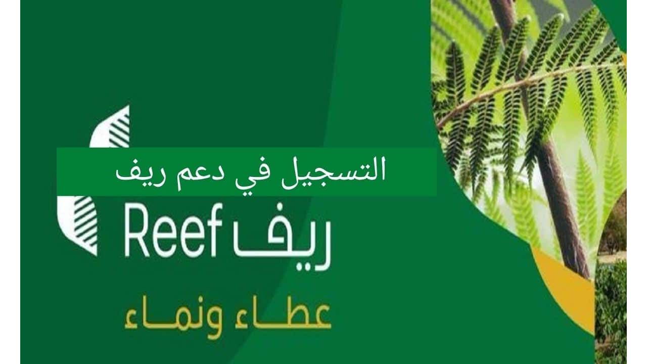 التسجيل في دعم الريف وشروط صرف دعم ريف reef