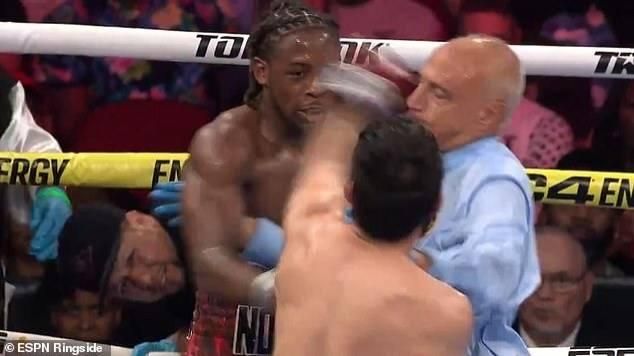 حكم ملاكمة يتلقى ضربة بالخطأ