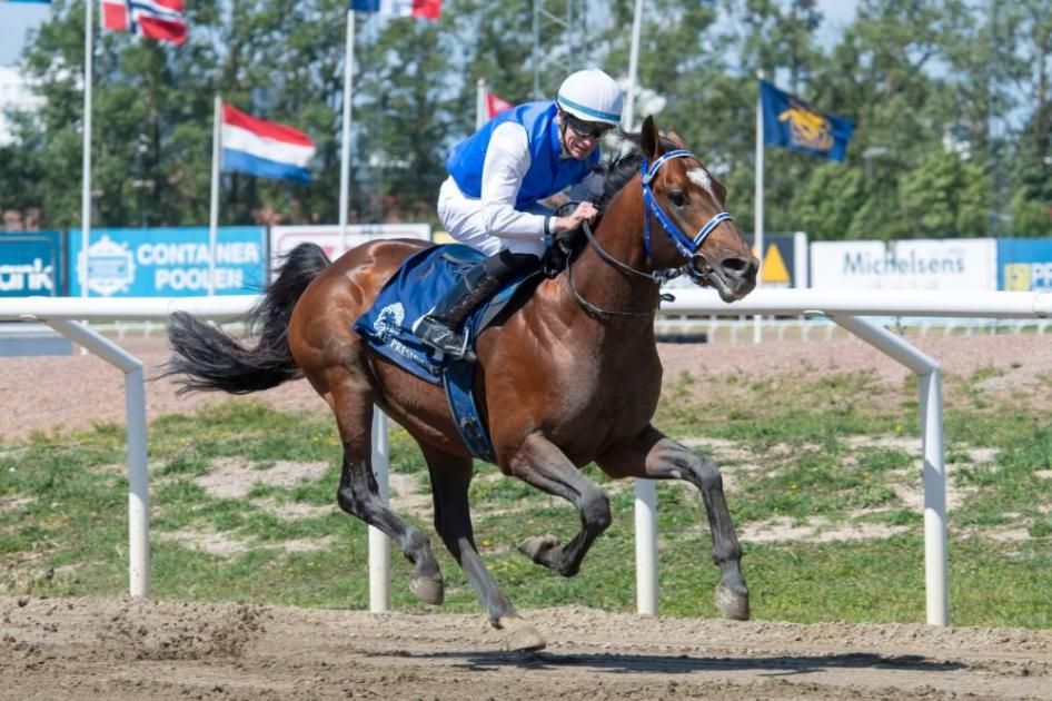 كأس رئيس الدولة للخيول العربية تصل إلى السويد