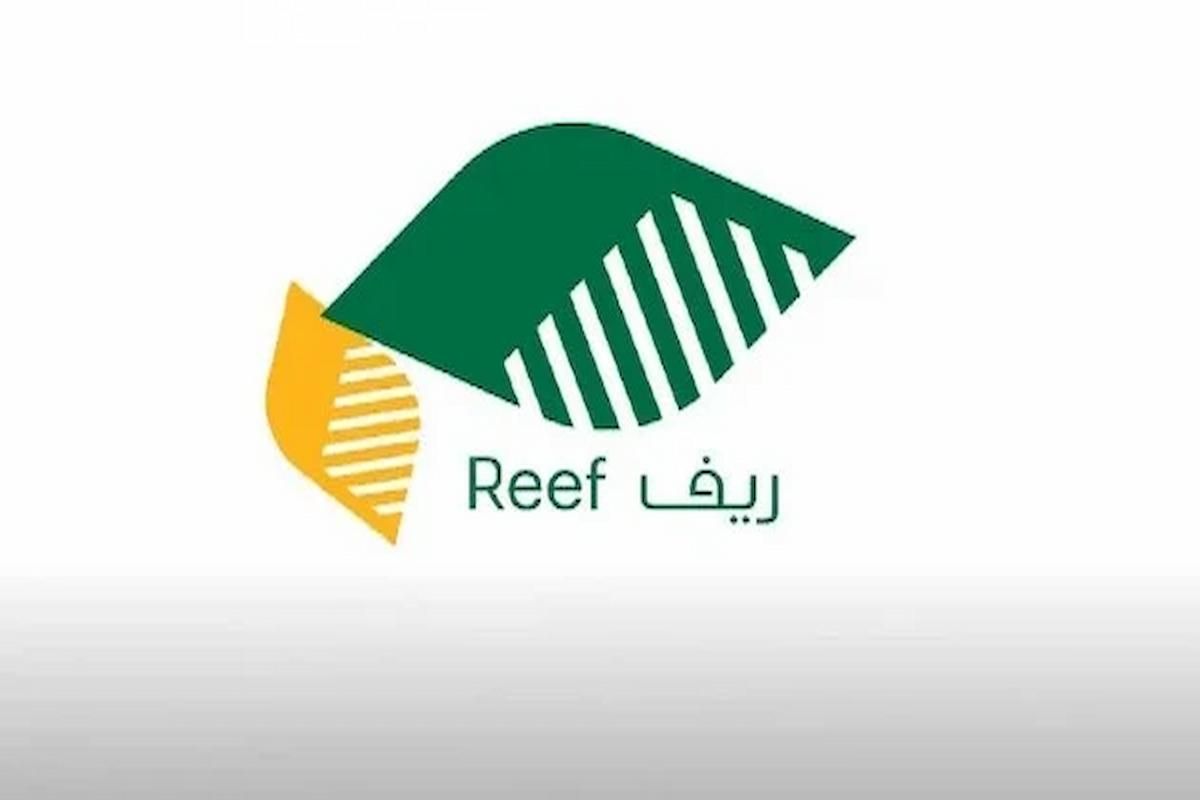 هُنــا | إليك شروط الاستعلام عن دعم ريف برقم الهوية فقط - موقع الخليج الان