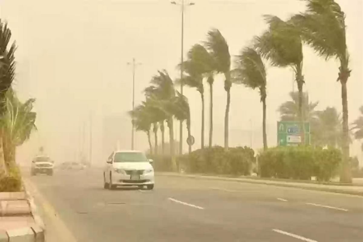 سحب رعدية ممطرة ورياح قوية... طقس شتوي مثير يضرب المناطق السعودية رغم ارتفاع درجات الحرارة - موقع الخليج الان