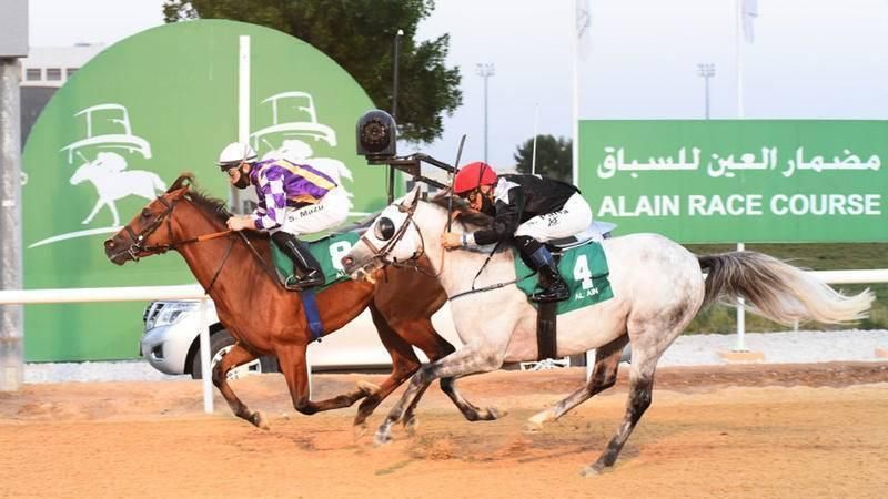 «العين للفروسية» يبدأ نشاط الموسم الجديد مطلع نوفمبر