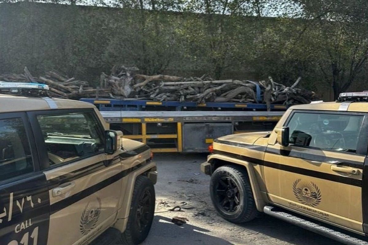 لنقله حطب محلي…"الأمن البيئي" ضبط مخالف بالمنطقة الشرقية وهذه العقوبة المقررة - موقع الخليج الان