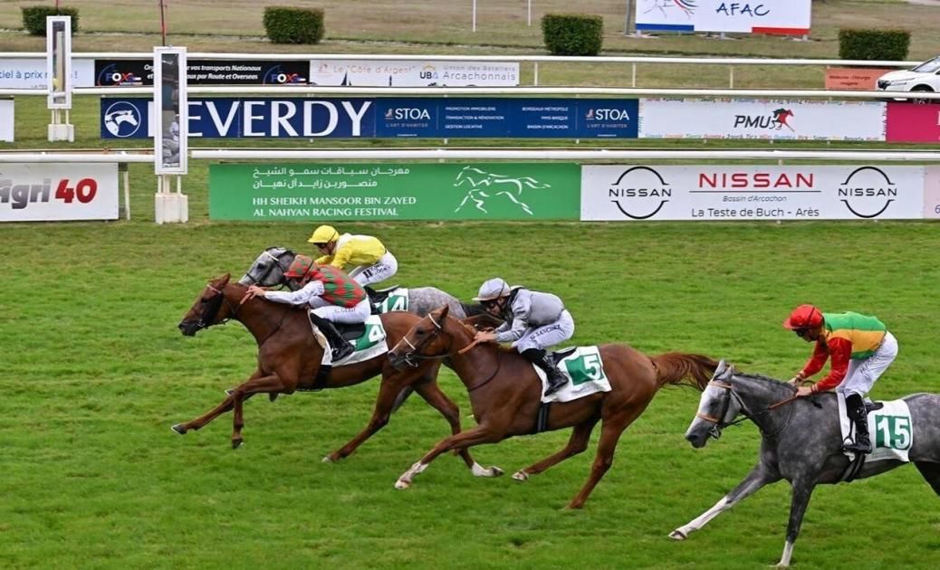 «كأس الوثبة» تتوج الفائزين في سباقات فرنسا وبولندا والبرازيل